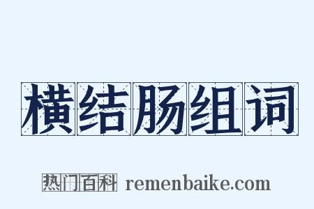 横结肠组词是什么意思的图片